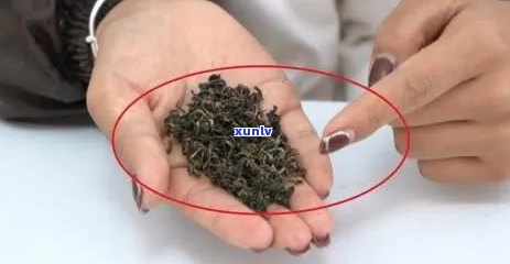 茶叶没密封还能喝吗会坏吗，茶叶未密封保存，是否仍可饮用？是否会变质？