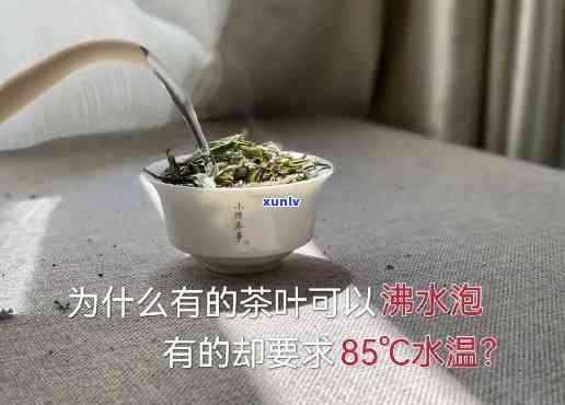 用纯净水泡茶叶好吗视频，探究纯净水泡茶的奥秘：效果如何？有何优缺点？