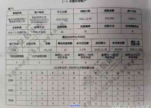 翡翠豆子吊坠：寓意、款式、选购与保养全解析