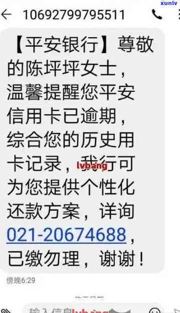 新全面解析金芽普洱茶的品质、功效、泡法与收藏，助你轻松选购与品鉴