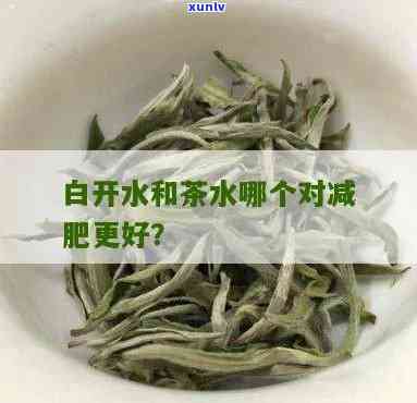 茶叶水减肥还是白开水减肥，茶叶水 vs 白开水：哪种更适合减肥？