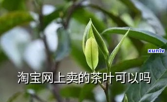  *** 上茶叶能送礼吗- *** 买茶叶可以嘛