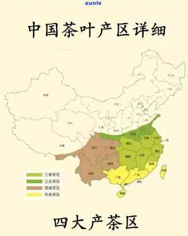 南方产茶叶的地方：揭秘中国主要产茶区