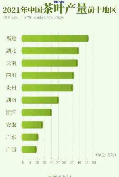 南方产茶叶的大省：哪些省份上榜？排名情况如何？