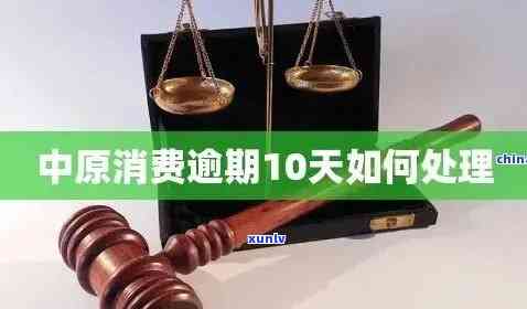 中原消费逾期10天：结果与解决办法全解析