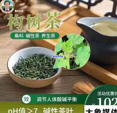 构树茶叶能长期喝吗-构树茶 副作用