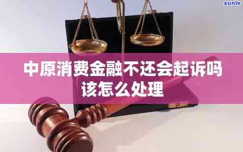 欠中源消费金融公司1000元不还会被起诉吗，欠款1000元未还，是不是会被中源消费金融公司起诉？