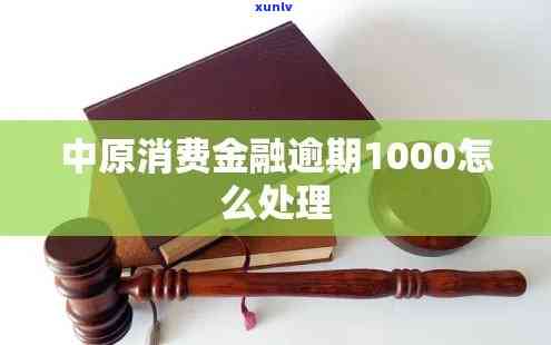 欠中源消费金融公司1000元不还会被起诉吗，欠款1000元未还，是不是会被中源消费金融公司起诉？