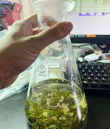 茶叶水和酸奶相克吗-茶叶水和酸奶相克吗能喝吗