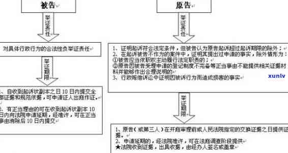 逾期举证的解决：原则、流程与留意事