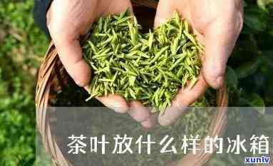 放茶叶的冰箱叫什么柜子，探究茶叶保：什么是放茶叶的冰箱？