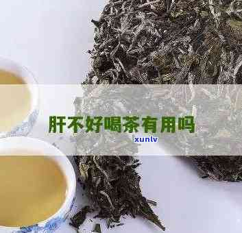 肝不好可以喝茶叶吗-肝不好可以喝茶叶吗女性