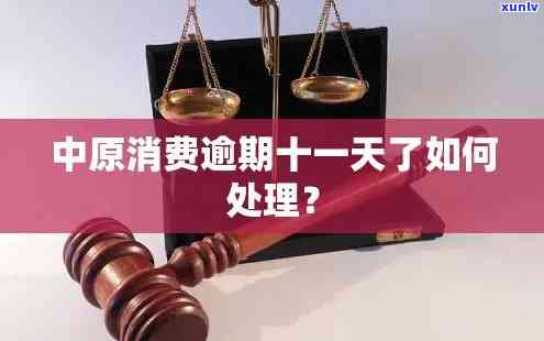 中原消费逾期十一天会怎么样，逾期十一天：中原消费将采用什么措？