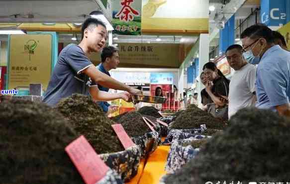 济南本地茶叶：与场全览