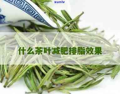 啥茶叶减肥效果-啥茶叶减肥效果呀