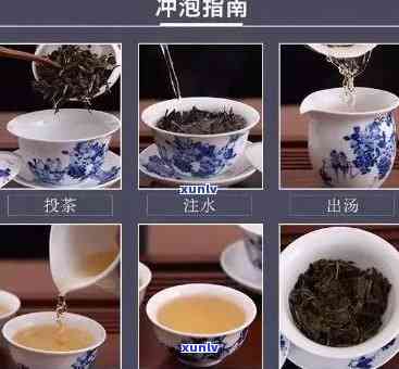 茶叶泡多久？详解冲泡时间与口感的关系