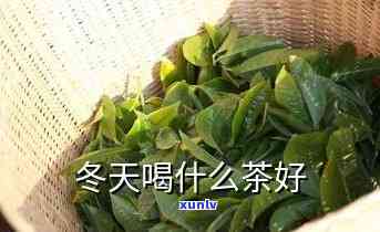 冬天喝哪种茶叶-冬天喝哪种茶叶呢