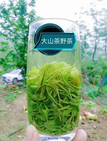 信阳哪里的茶叶卖？一网打尽，哪家茶叶市场最实！