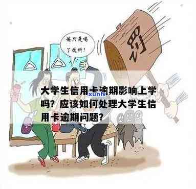 大学生信用消费逾期怎么办，大学生信用消费逾期解决攻略