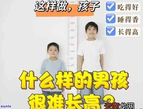 男孩喝茶叶的影响：身高与长高是否受影响？