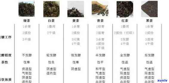 什么等级的茶叶，探究茶叶品质：什么等级的茶叶？