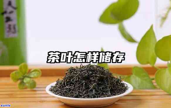 适合存的茶叶，如何选择适合存的茶叶？