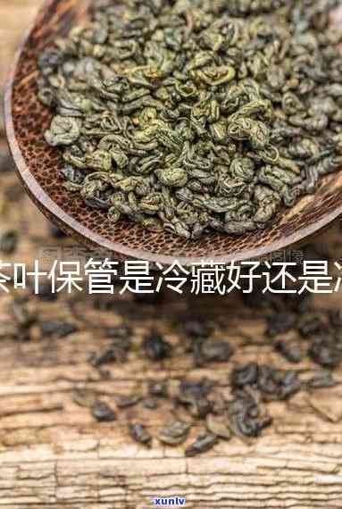 茶叶冷藏还是冷冻好，茶叶应该冷藏还是冷冻保存？答案在这里！