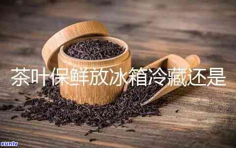 茶叶冷藏还是冷冻好，茶叶应该冷藏还是冷冻保存？答案在这里！