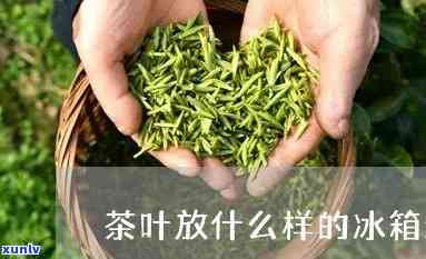 放茶叶的冰柜哪种好-放茶叶的冰柜哪种好用