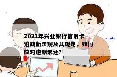 老班章熟普洱茶多少钱一饼及价格查询表