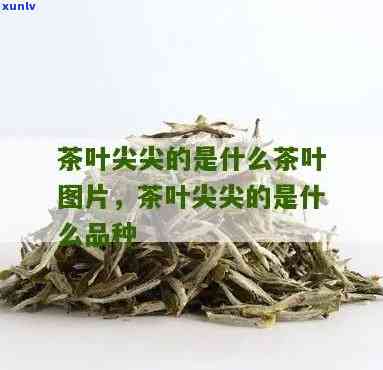 冰岛茶分几种？探究顶级冰岛茶的特征与价值