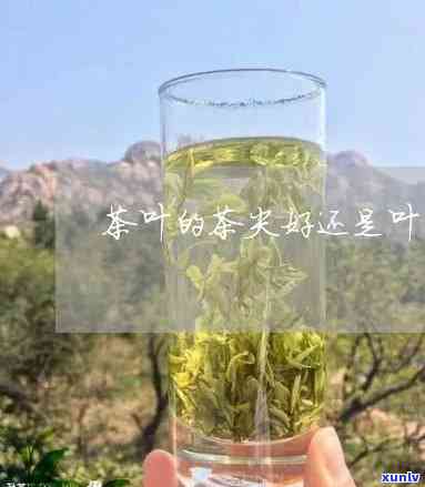 冰岛茶分几种？探究顶级冰岛茶的特征与价值