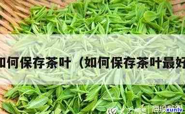 用什么保存茶叶-用什么保存茶叶呢