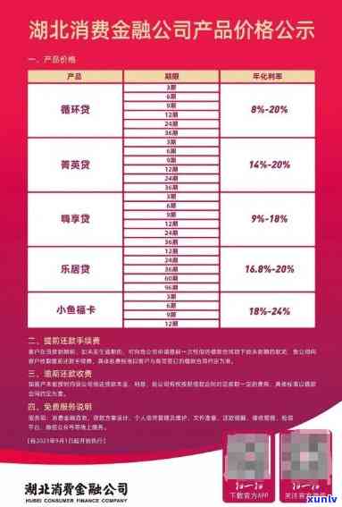 湖北消费：上、消费券平台及金融机构正规性全解析