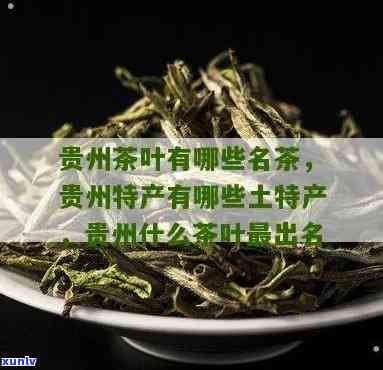 贵州哪里茶叶出名，探寻贵州名茶：揭秘哪些地方的茶叶最出名？