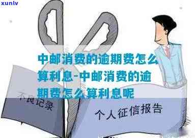 中邮消费10万逾期利息是多少？请提供具体信息