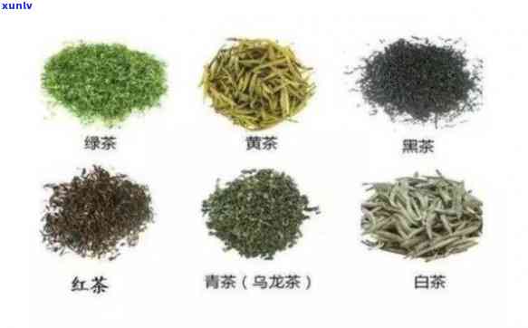 哪个节的茶叶-哪个节的茶叶喝