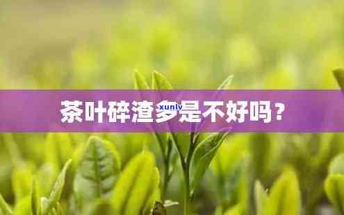 茶叶很碎是不是不好-茶叶很碎是不是不好喝