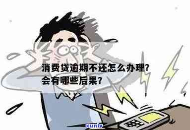 怎样解决严重逾期的消费贷？