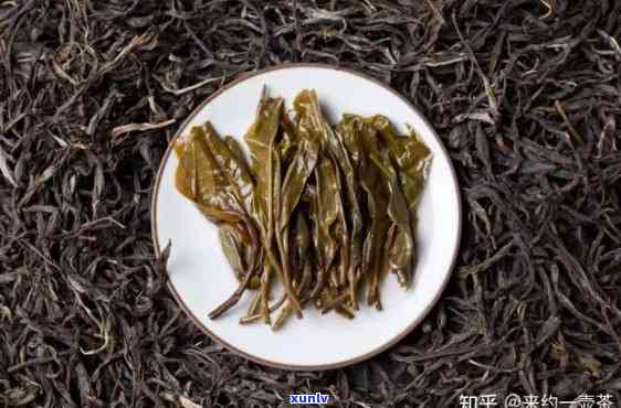 西双版纳哪家茶叶？探索更优质的茶品