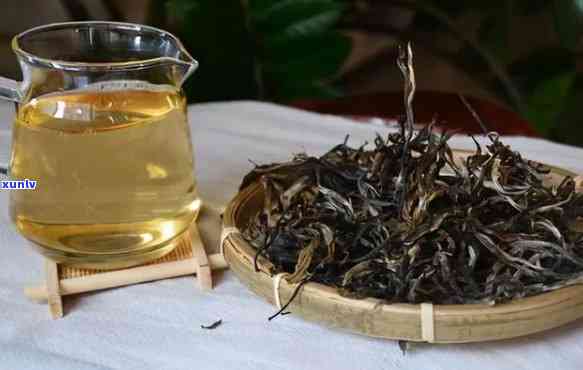 西双版纳哪里茶叶好-西双版纳的茶叶