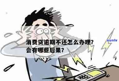 消费贷逾期不还会产生什么结果？怎样解决？