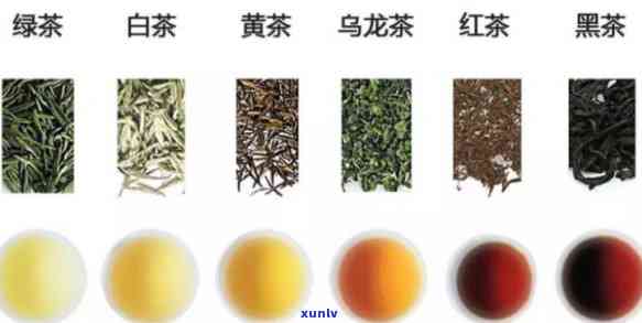 茶叶是不是越老越好？探究茶叶陈化效果与品质的关系