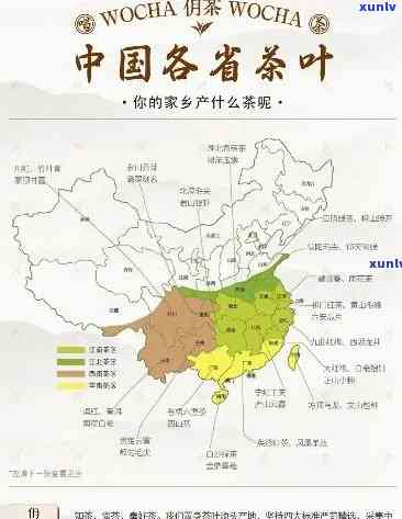 茶叶产地有哪些地方，探秘世界茶叶产地：那些你不可不知的地方