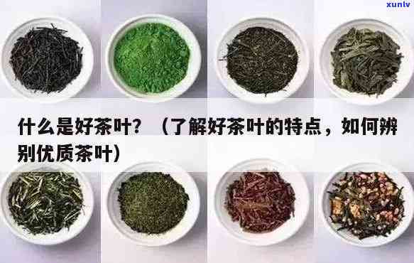 怎么鉴别茶叶好不好，如何鉴别茶叶品质：实用指南