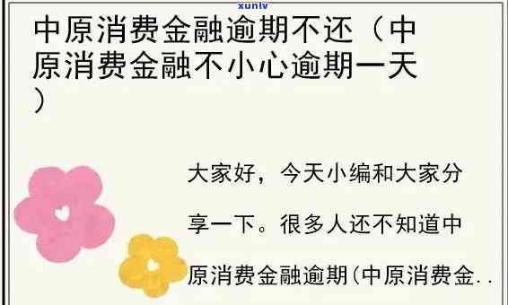 中原消费贷逾期3年多少钱才被起诉，中原消费贷逾期三年不还，将面临多少诉讼金额？