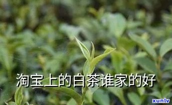  *** 上谁家的茶叶好- *** 上谁家的茶叶好喝