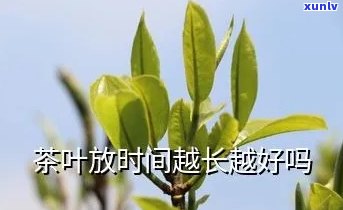 茶叶时间长了好不好-茶叶时间长了好不好呢