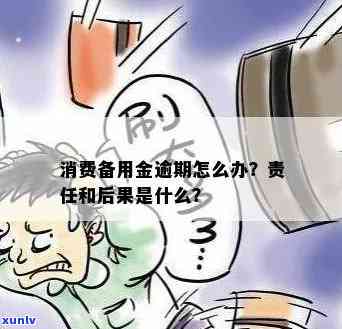 消费备用金逾期是不是构成恶意透支及可能涉及的刑事犯罪？