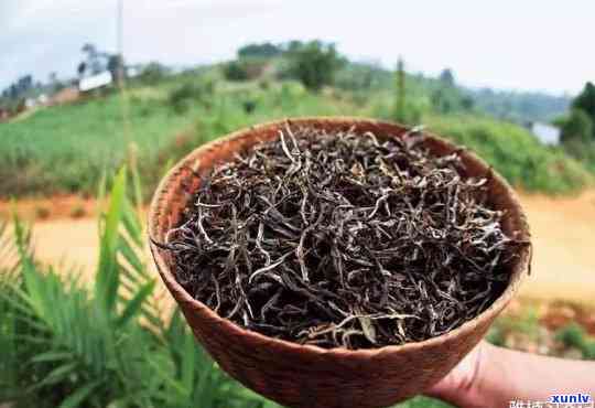 买茶叶茶饼好还是散装的好，购买茶叶：茶饼 vs 散装，哪种更好？